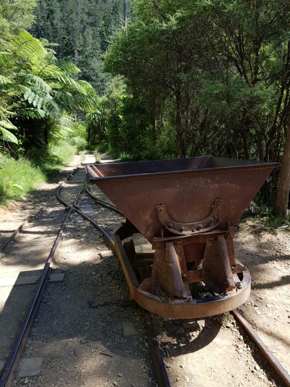 Riverside Accommodation Karangahake Екстериор снимка