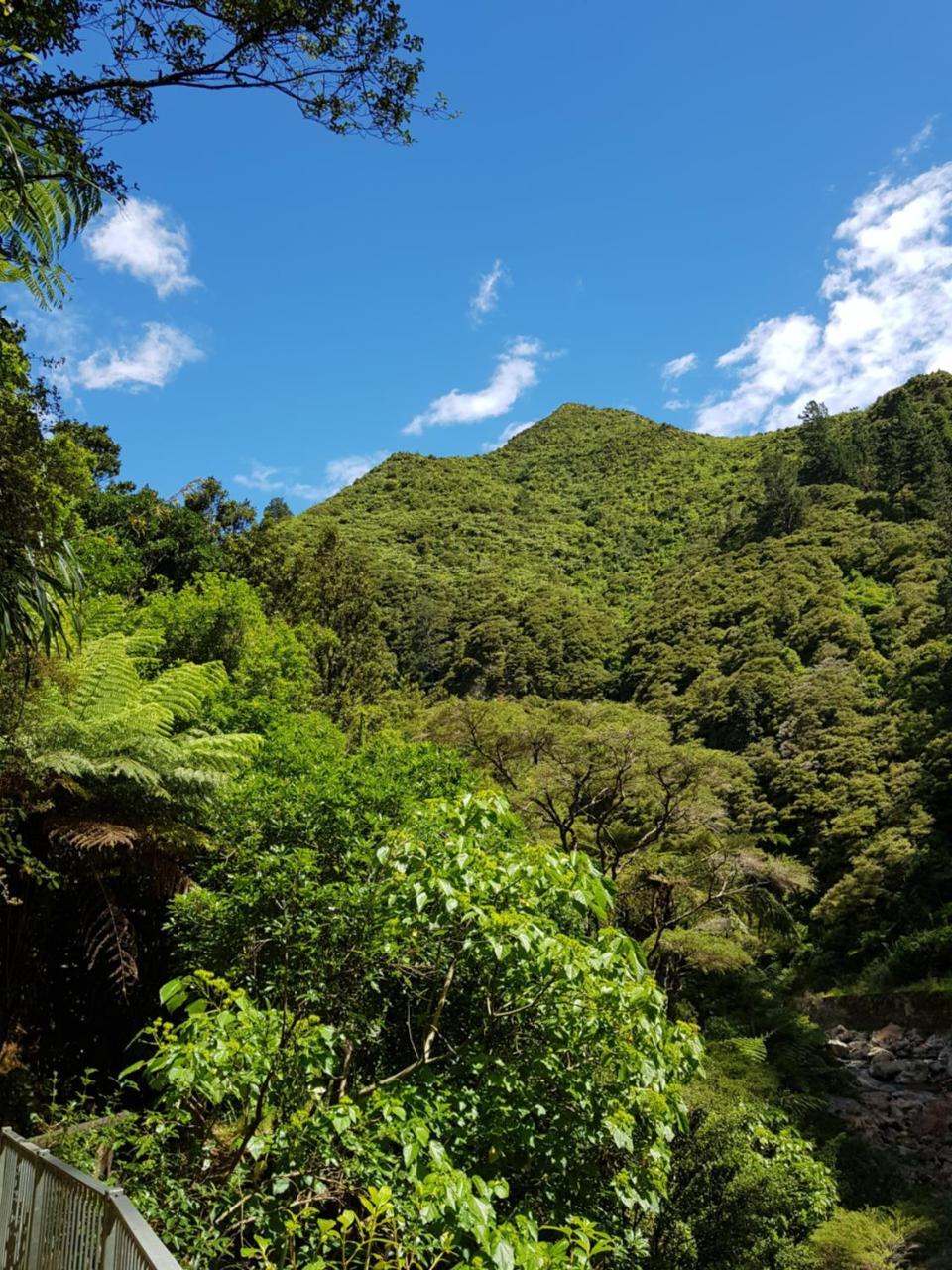Riverside Accommodation Karangahake Екстериор снимка